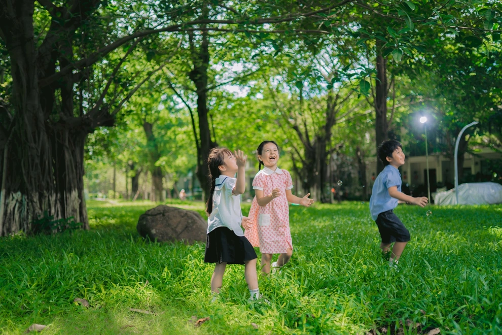 Chất Lượng Môi Trường Và Cảm Giác Trong Sinh Hoạt Thường Nhật